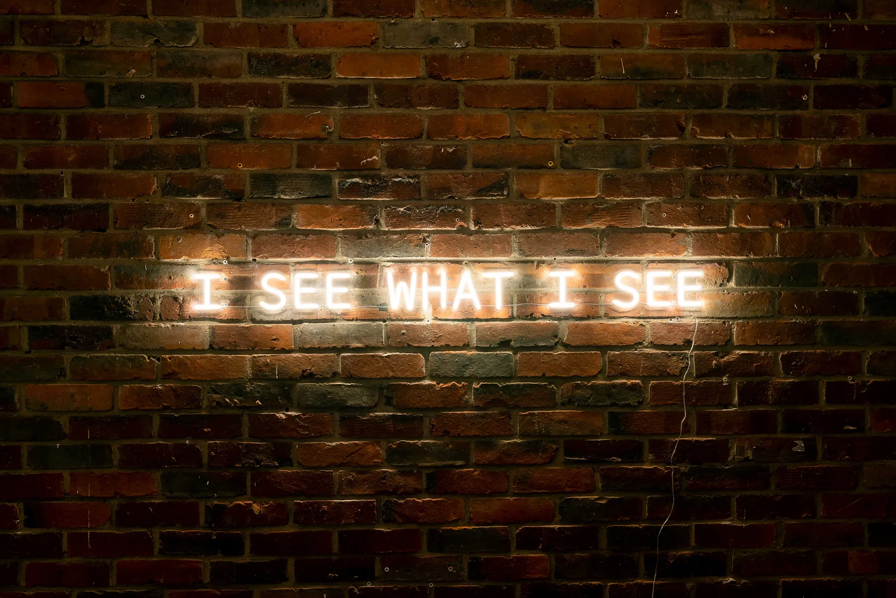 이강훈, I-SEE-WHAT-I-SEE_02 (이미지 저작권은 작가에게 있습니다)