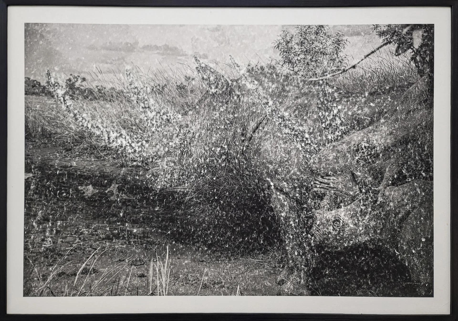 이미지를 훔치는 방법 #22-1-01-A, Erase image from inkjet digital pigment print on Hanji, 80 × 108 cm, 2022 /작가제공