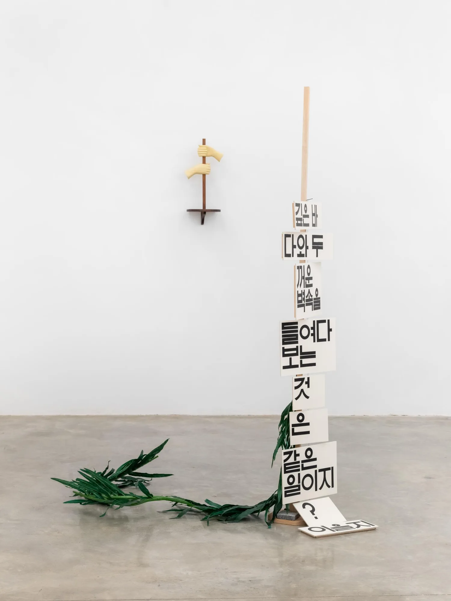Installation view of Chung Seoyoung: With no Head nor Tail (March 21—April 20, 2024) at Tina Kim Gallery. Photo by Charles Roussel