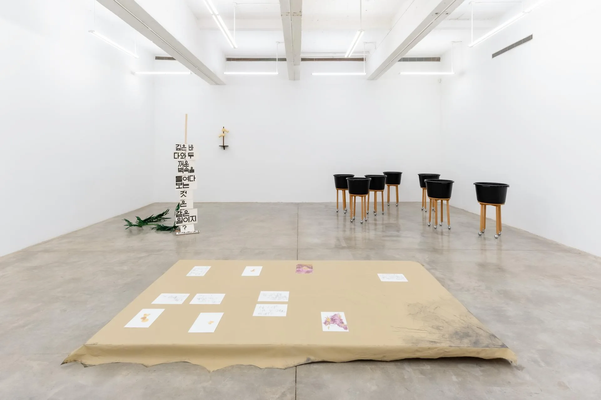 Installation view of Chung Seoyoung: With no Head nor Tail (March 21—April 20, 2024) at Tina Kim Gallery. Photo by Charles Roussel