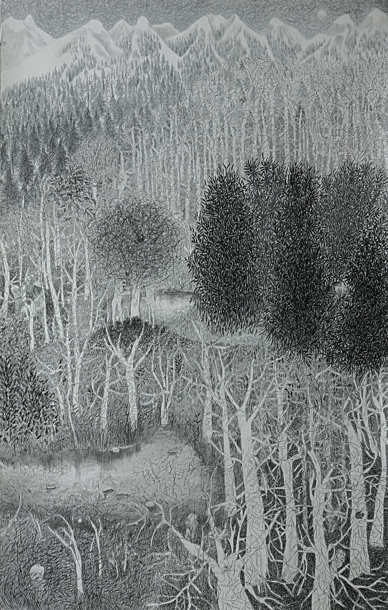 박수형, grey forest , oil pencil, color pencil on paper, 121 × 190 cm 2015