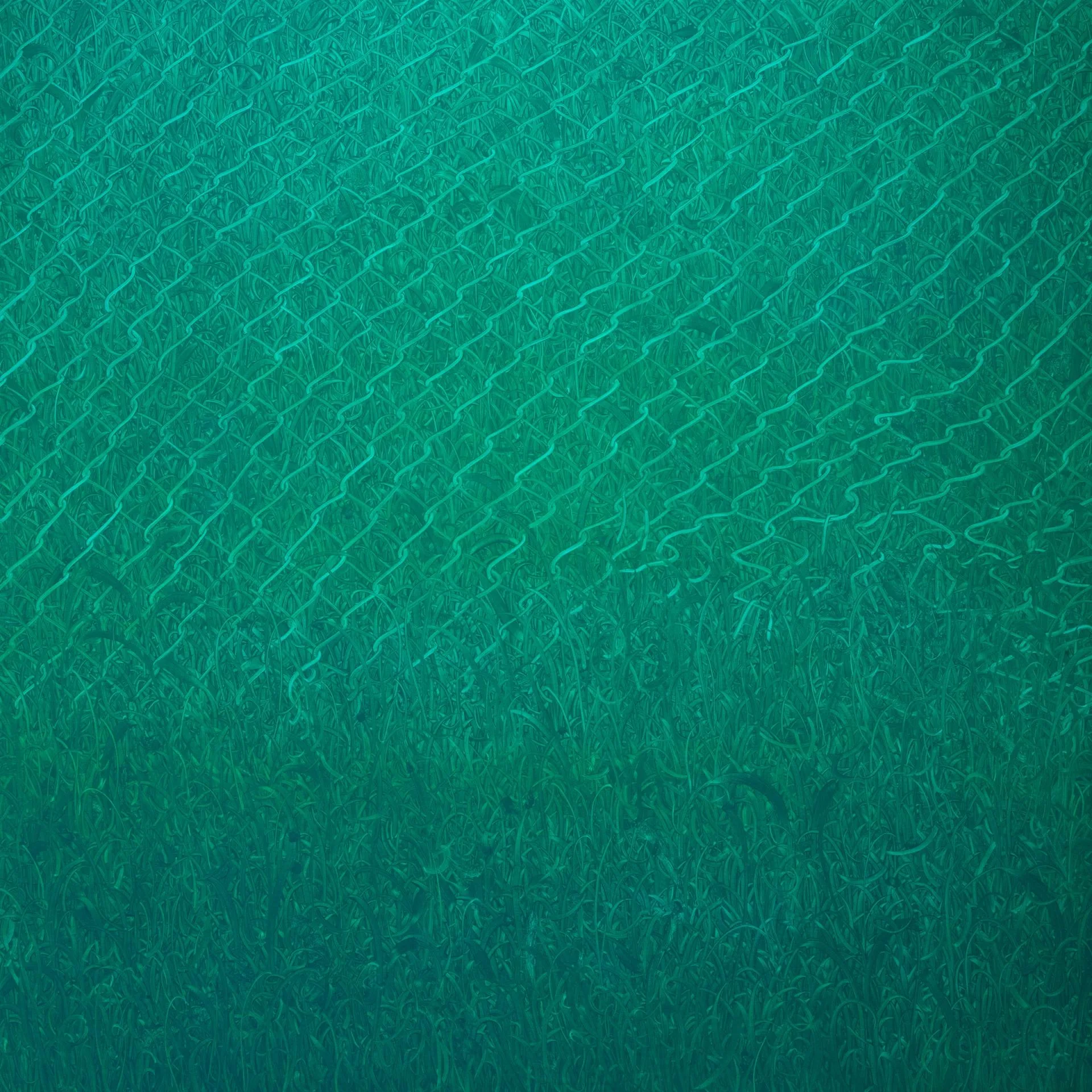 박수형, fence_green, oil on canvas, 130 × 130 cm, 2018