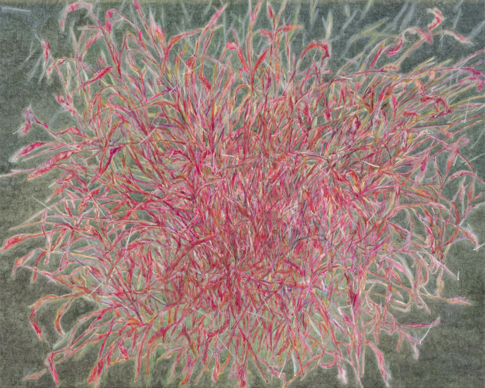 서민정, 마른 불꽃 Dry Flare, 2022, 장지에 주묵, 분채, 130 × 162.2 cm