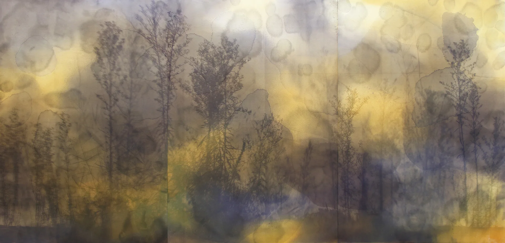 느린 환절기_sunprinting, natural dyeing, oriental ink, botanic emulsion on paper_2022