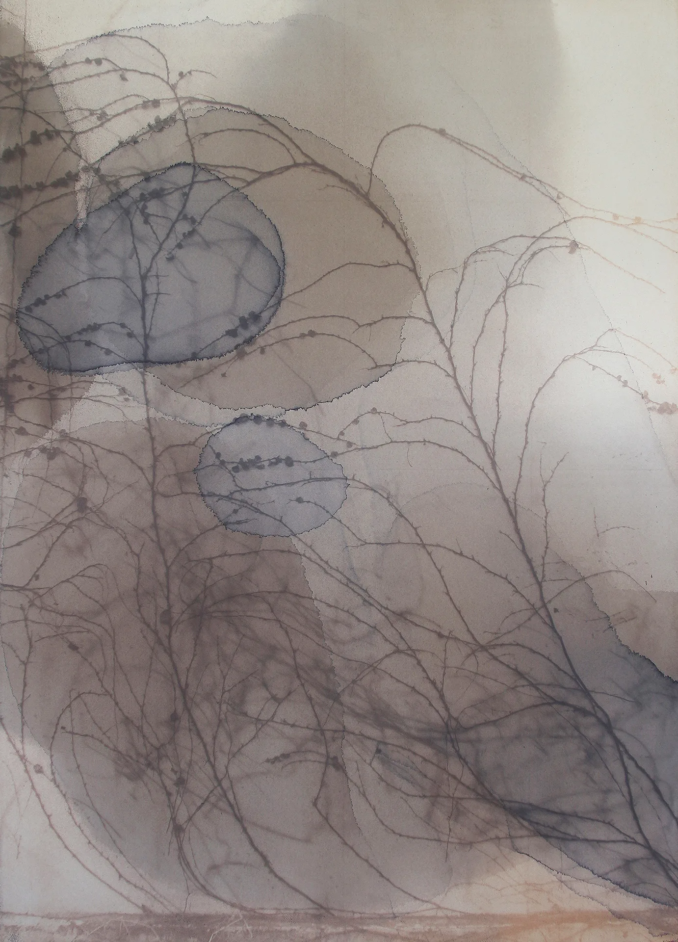 사소한 이동1_sunprinting, natural dyeing, botanic emulsion on paper_2022