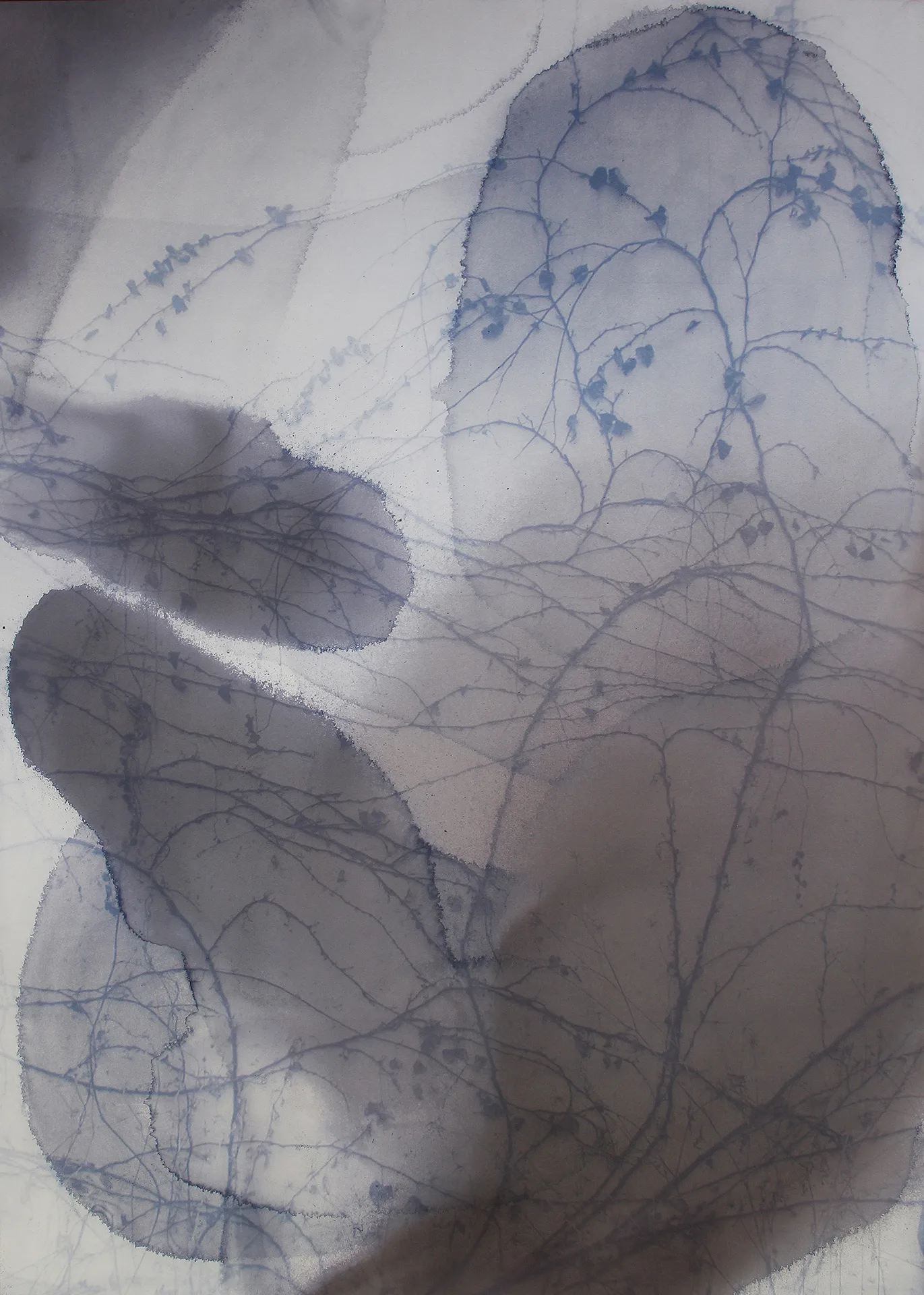 사소한 이동2_sunprinting, natural dyeing, botanic emulsion on paper_2022