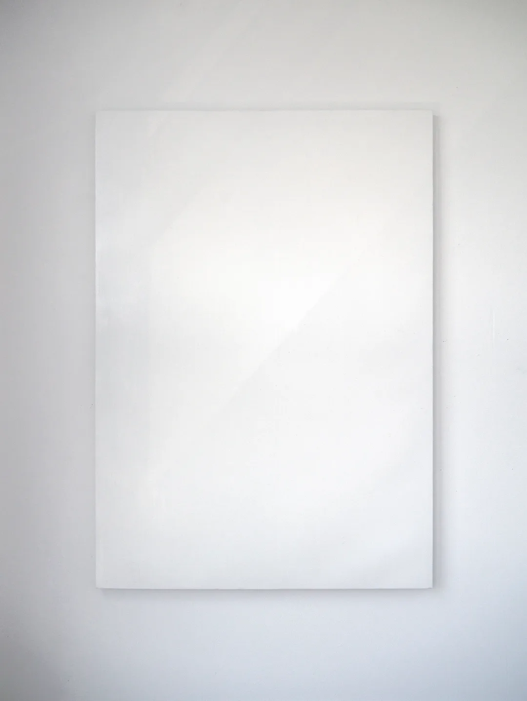 ⓒ2016. Sun Choi_흰그림 White Painting, capsicine on canvas, 116.8 × 80.3 cm, 2016