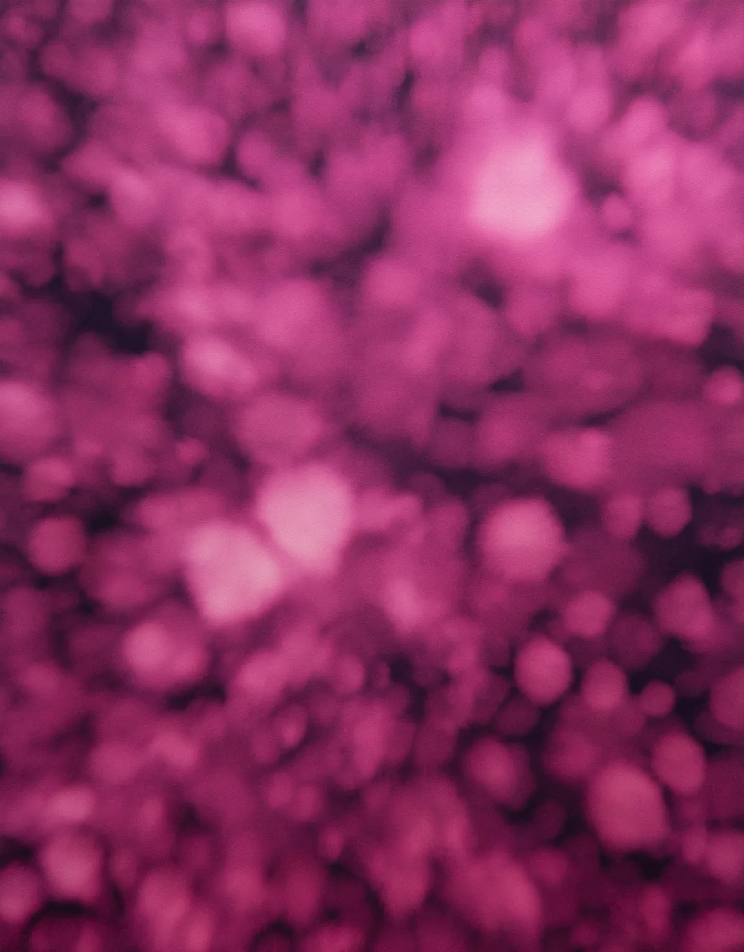 ⓒ2025. Sun Choi_별똥 떨어지던 날 The Night the Rained Stars, gemtan and bleach diluted in saline solution on cloth, 116.8 × 91 cm, 2025