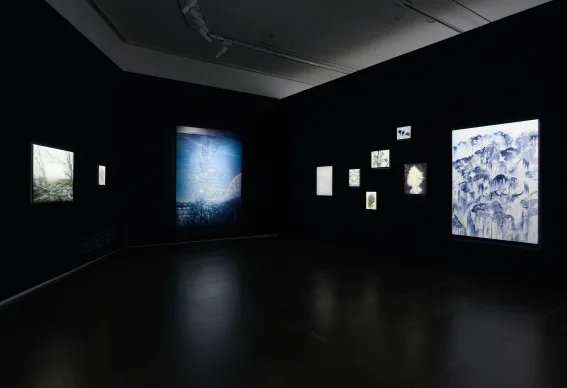 2025 올해의 청년작가 ‘LightWalk’ 전시전경