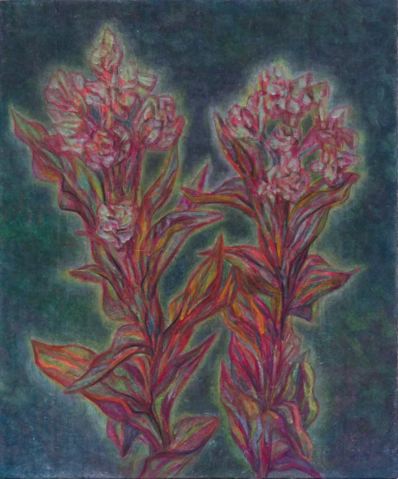 새벽의 왕-금난초(2025, 장지에 주묵, 분채, 콘테, 45.5 × 37.9 cm)